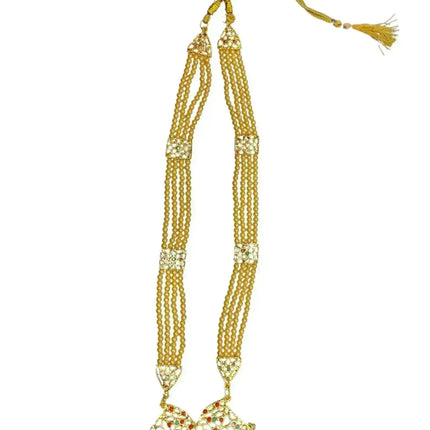 Bharatnatyam Costume for Girls with Light Bharatnatyam Jewellery Fancydresswale