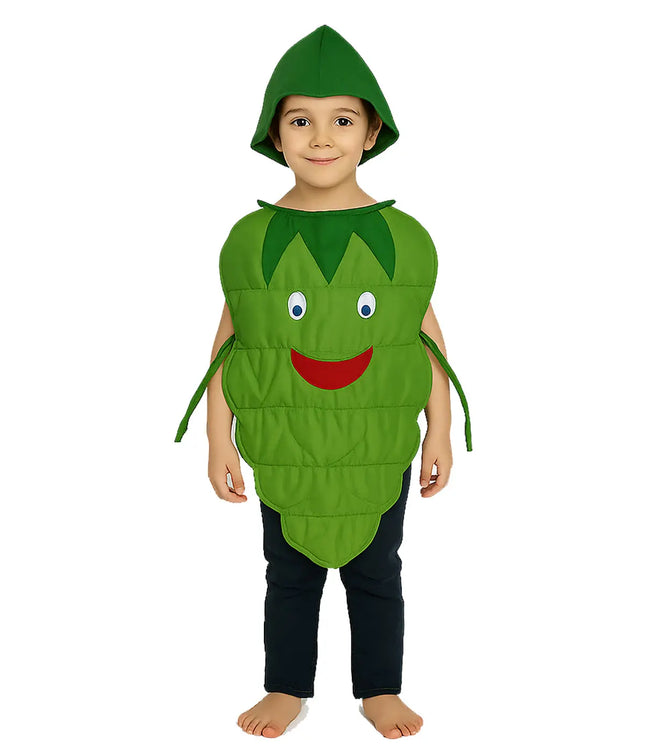 FancyDressWale Grapes Fruit Costume with Green Jumpsuit for Kids | Fancy Dress for School Competitions, Fruit Day & Stage Shows (2–10 Years) Fancydresswale
