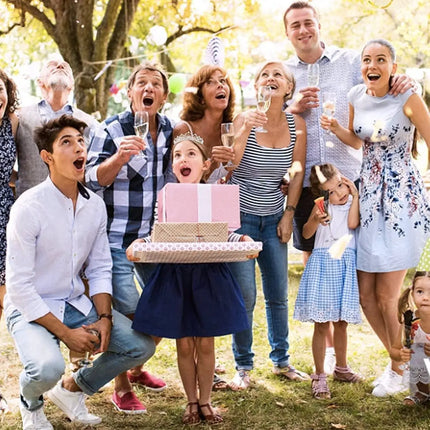 Fancydresswale Birthday Headbands Satin Sash and Tiara Birthday Crown for Girls Women Party Supplies- Silver Crown and Sash- Birthday Girl fancydresswale.com