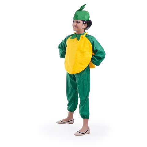 Mango Costume for Boys and Girls for Fancy dress competitions