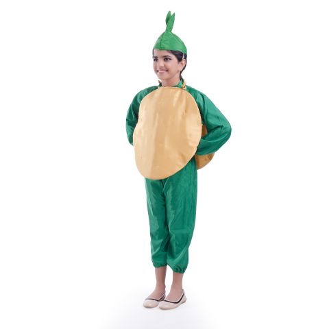 Potato vegetable dress for boys and Girls for Fancy dress competitions