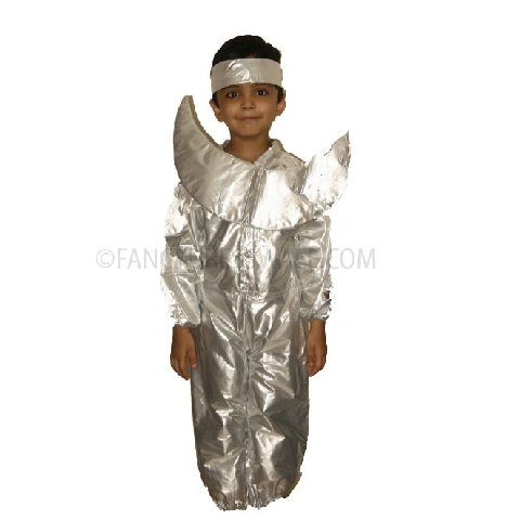 Moon Costume