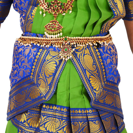 Bharatnatyam dress Blue and Green for Fancy Dress/Costume Competitions/School Events/Annual Functions Fancydresswale.com