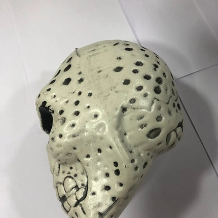 Fancydresswale Halloween Decoration Items for Halloween Party Supply (Hanging Skull) fancydresswale.com