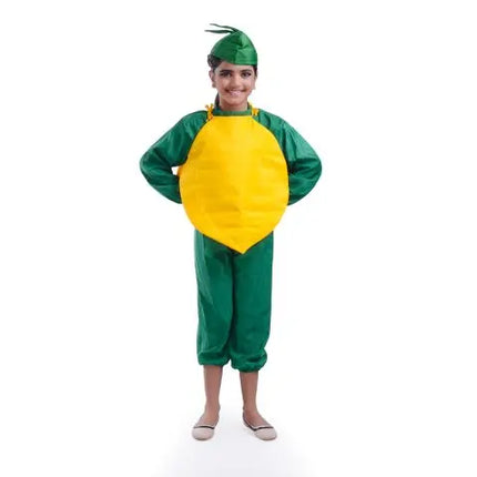 Papaya fruit costume for Girls and Boys for kids fancydress competitions Fancydresswale