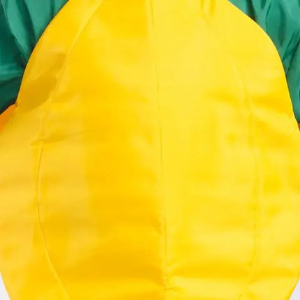 Papaya fruit costume for Girls and Boys for kids fancydress competitions Fancydresswale