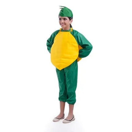 Papaya fruit costume for Girls and Boys for kids fancydress competitions Fancydresswale