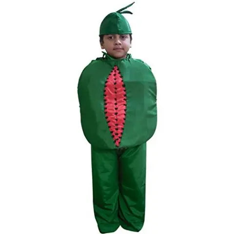 Watermelon Costume for kids for Fancy dress competitions Fancydresswale