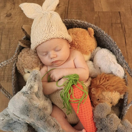 Adorable Rabbit Photography Clothing Set for Children: Crochet Knitting Stick Hat and Pants with Carrot fancydresswale.com