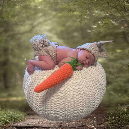 Adorable Rabbit Photography Clothing Set for Children: Crochet Knitting Stick Hat and Pants with Carrot fancydresswale.com