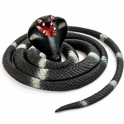Black cobra snake with white bands on white background