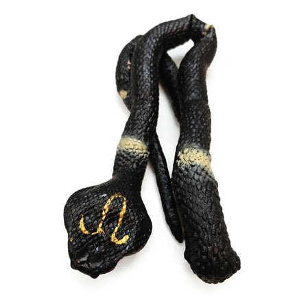 Black cobra snake with yellow markings