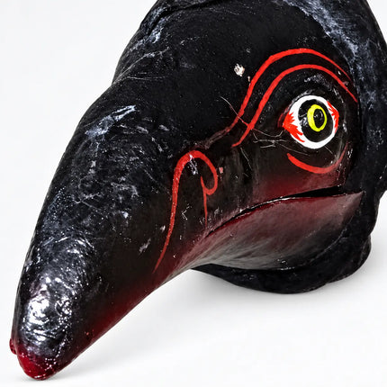 Close-up of Jatayu Mask painted eye and textured beak