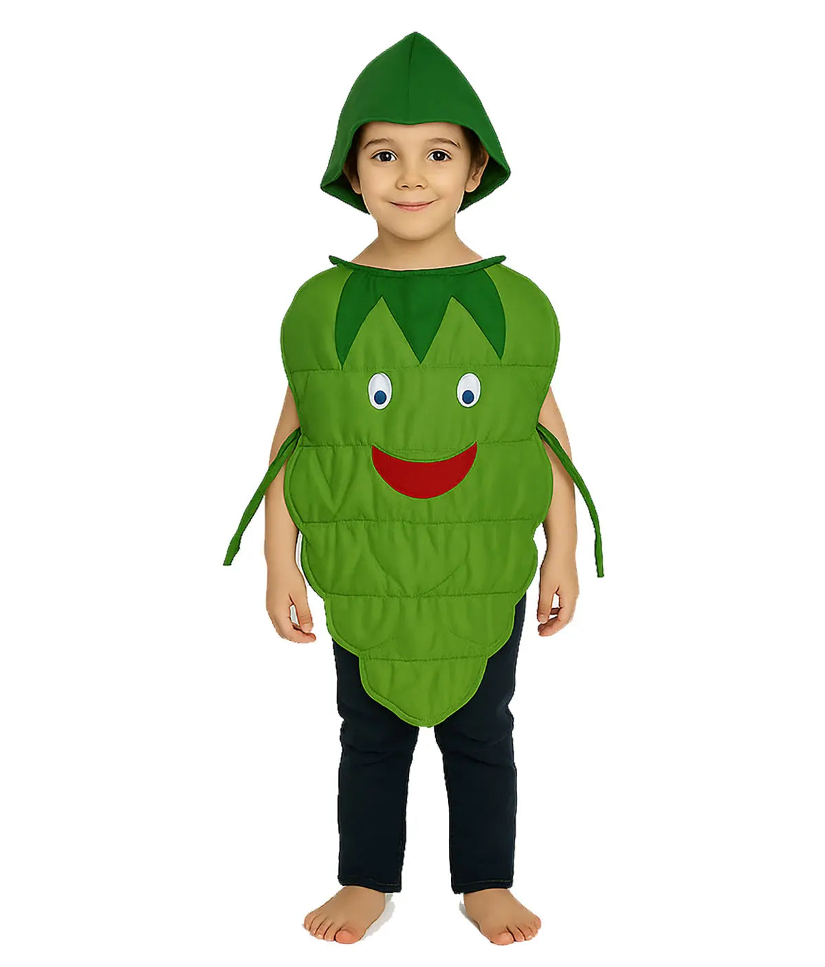 green colour fancy dress ideas Green Peas Hari Matar Vegetable Kids Fancy Dress Competition Costume Buy / 6-7 years main image 1