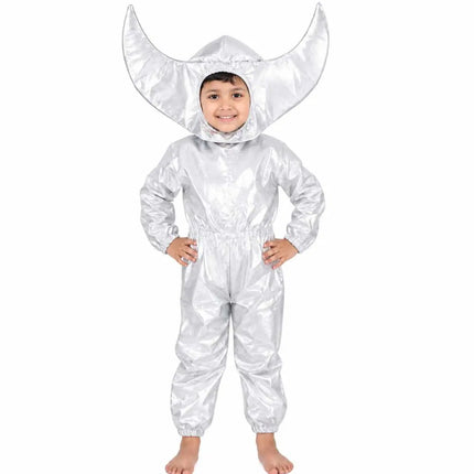 Fancydresswale Moon Fancy Dress Costume for Kids | Silver Moon Outfit fancydresswale.com