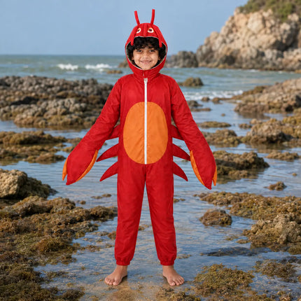 Kids Crab Fancy Dress Costume – Cute Red Sea Animal Jumpsuit with Attached Hood fancydresswale.com