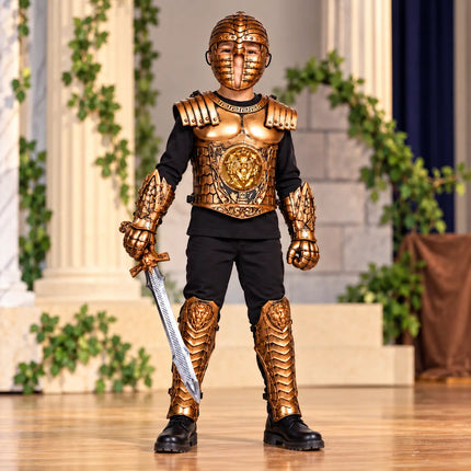 Sainik armour costume presentation