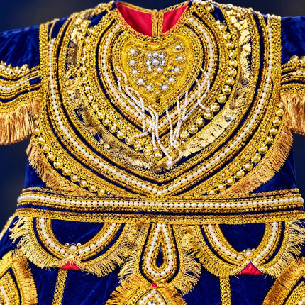 Raja Coat (Adult) – Royal King Fancy Dress Costume fancydresswale.com