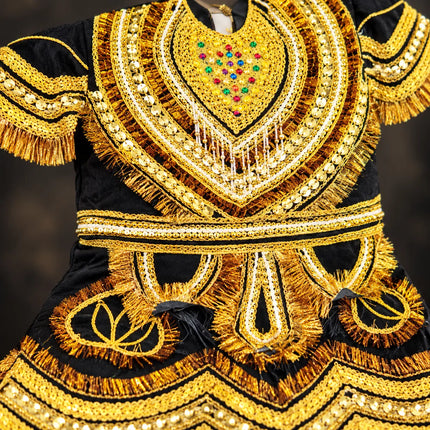 Raja Coat (Adult) – Royal King Fancy Dress Costume fancydresswale.com