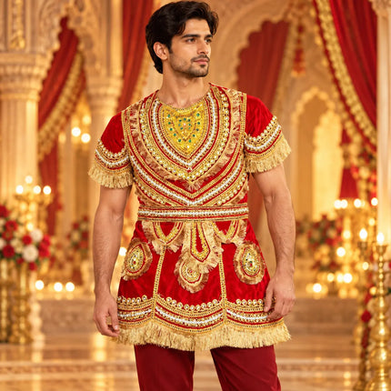 Raja Coat (Adult) – Royal King Fancy Dress Costume fancydresswale.com