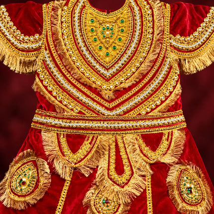 Raja Coat (Adult) – Royal King Fancy Dress Costume fancydresswale.com