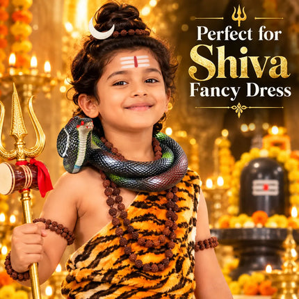 Round snake styled with Shiva fancy dress