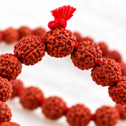 Rudraksha Mala – 10 Pieces Combo fancydresswale.com