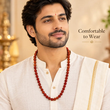 Rudraksha Mala – 10 Pieces Combo fancydresswale.com