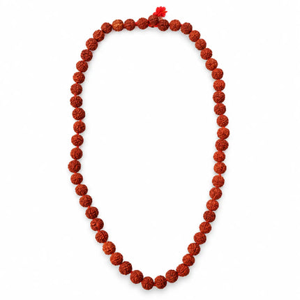 Rudraksha Mala – 10 Pieces Combo fancydresswale.com