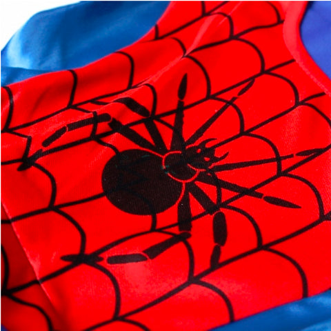 Fancydresswale Spiderman Girl dress for Girls