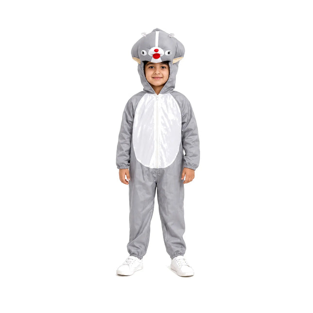 Squirrel Costume For Kids Fancydresswale.com