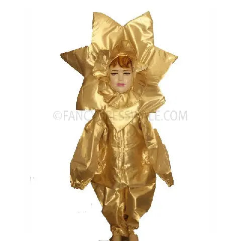 Star fancy dress for kids Fancydresswale