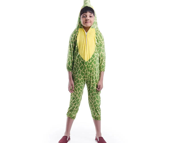 Tortoise Costume for Kids – Cute Green Turtle Fancy Dress Jumpsuit –  fancydresswale.com