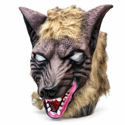 Wolf Rubber Mask with pointed ears and tan fur-look trim on white background