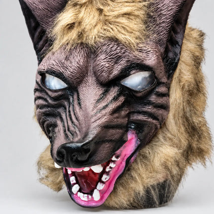Close-up of textured wolf face, black nose and white teeth