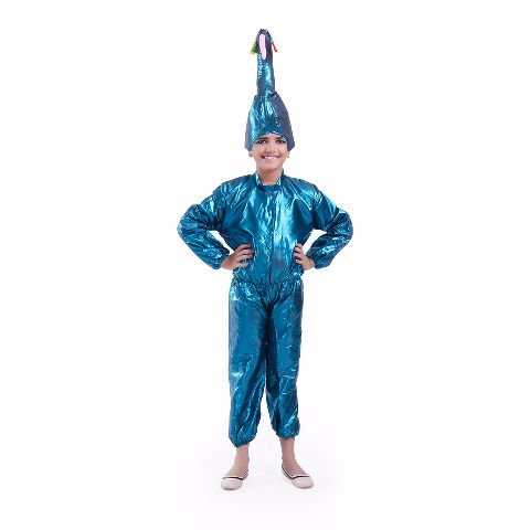 Peacock Costume For Kids