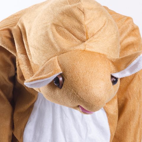 Rat Costume For Kids