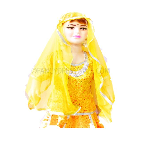 Rajasthani Lady Costume