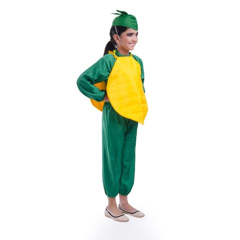 Papaya fruit costume for Girls and Boys for kids fancydress competitions