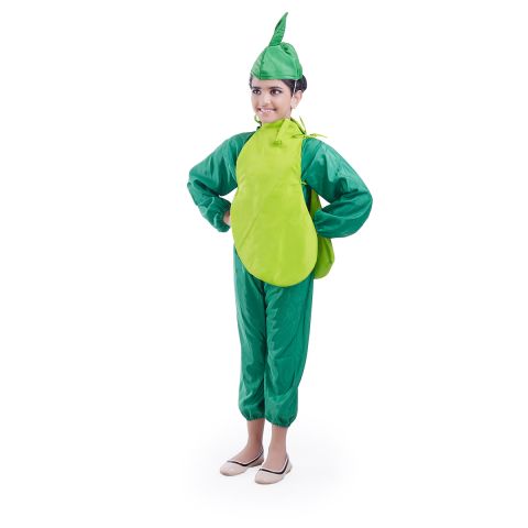 Bottle Gourd vegetable dress for boys and Girls for Fancy dress competitions