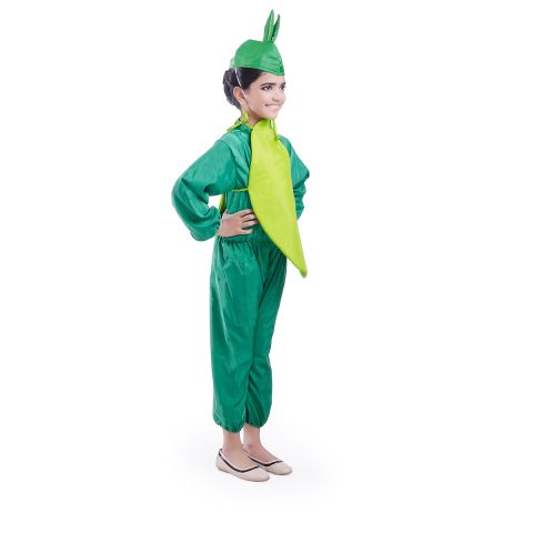 Bottle Gourd vegetable dress for boys and Girls for Fancy dress competitions