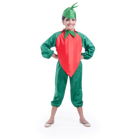 Green Chilli dress for boys and Girls for Fancy dress competitions