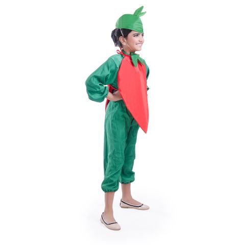 Green Chilli dress for boys and Girls for Fancy dress competitions
