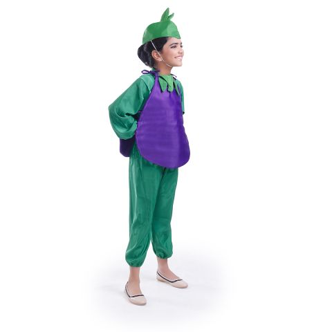 Brinjal dress for boys and Girls for Fancy dress competitions