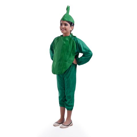 Capsicum Costume for boys and Girls for Fancy dress competitions