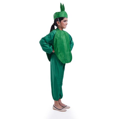 Capsicum Costume for boys and Girls for Fancy dress competitions