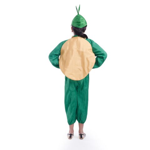 Potato vegetable dress for boys and Girls for Fancy dress competitions