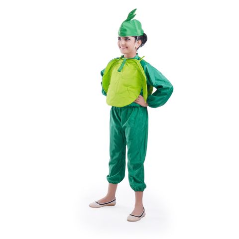 Cabbage Costume for boys and Girls for Fancy dress competitions