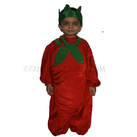Carrot Costume for boys and Girls for Fancy dress competitions