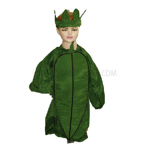 Ladyfinger Costume for boys and Girls for Fancy dress competitions